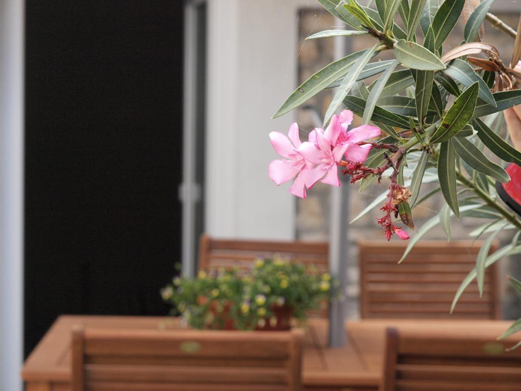Apartment Ivan PUY Rom bilde